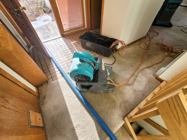 Best Water damage cleanup near me  in USA